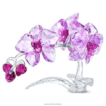 kryštálové kvety orchidea zber B8ZNT1630 Swarovski dekorácie